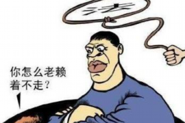 大埔融资清欠服务